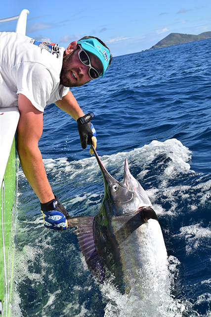 ANGLER: Matt Pearson SPECIES: Black Marlin WEIGHT: Est. 28kg LURE: 6.5" JB Lures Micro Dingo.